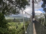 キャノピーウォーク