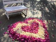 ユートピアファーム