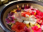 ユートピアファーム入り口飾り