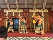 マオリ族のショー