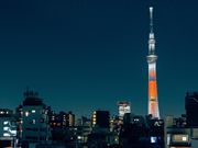 スカイツリーの夜景