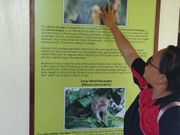 看板を観ながらガイドさんが丁寧に説明してくれます。