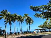 シャトルバスから見れる景色も最高