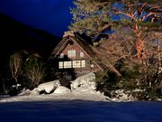 ライトアップ綺麗でした