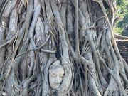 ワット・マハータート