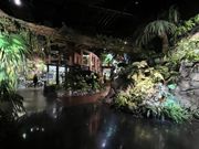 ネイチャー空間でした