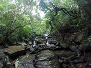 目的地の滝です