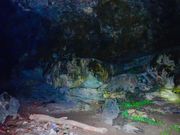 岩場や茂みを探索します。