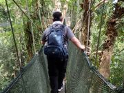 思ったよりしっかりしている吊橋です。