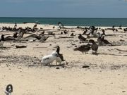 鳥たちも親子がいたり、可愛かったです！