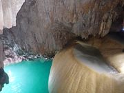 綺麗なかぼちゃ🎃