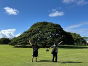 日立の「この木何の木～」