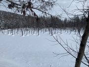 2月の青い池は真っ白で圧巻です。