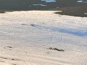 スキーをしている人も