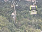 猫空ロープウェイ