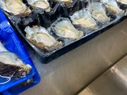 シドニーロックオイスター