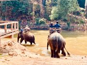 エレファントライド