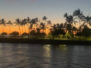 椰子の木のシルエットがハワイらしくて素敵！