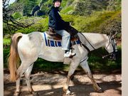 記念撮影も有り❣️