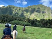 雄大なコオラウ山脈に広がる草原