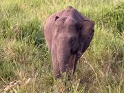 ジープサファリにて