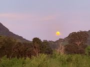 ちょうど満月の日でした！