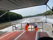 モーターボートでマングローブ林を