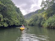 マングローブの林の間をカヌーで