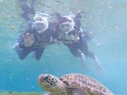 ウミガメと仲良くスリーショット