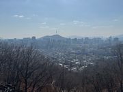 展望カフェからの景色