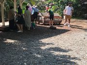 マカダミアナッツを割ってるところ