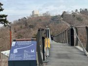 駐車場から展望台へは10分弱歩きます。