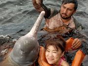 ピンクドルフィンと