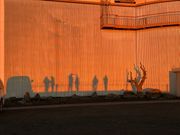 朝焼けに映る影②