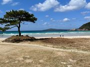 美しい高浜ビーチ