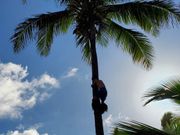 あっと言う間に上まで