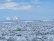 流氷が間近