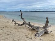 人が少なくて、映えスポットでたくさん写真を撮りました♫