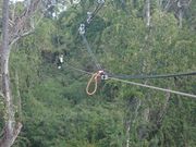 かなりの距離です