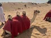 座って待っててくれてる