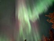 緑から赤　黄色と目まぐるしく降ってきました
