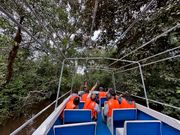 まさにジャングルクルーズ