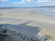 見学後階段を降りて来ている途中で影が映っているのを発見