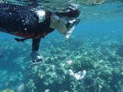 小6の息子の初海体験