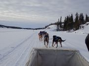 走りたくて仕方ない!
