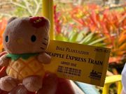 パイナップル列車