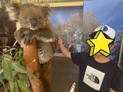 コアラと一緒に