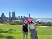 キングスパーク