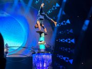 片時も目が離せないショー