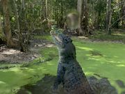 クロコダイルアドベンチャークルーズ